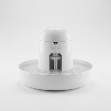 Automatic Pet Water Fountain – 2.5L Silent Pump & Filter